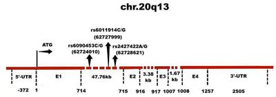 Association of Neurotensin Receptor 1 Gene Polymorphisms With Defense Mechanisms in Healthy Chinese